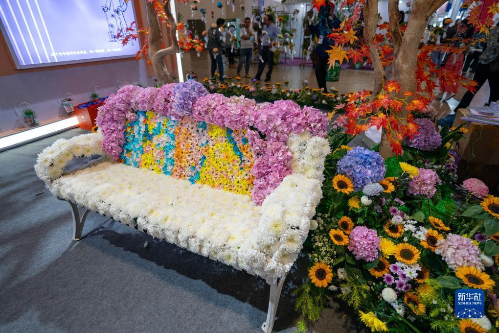 59白菜网论坛
